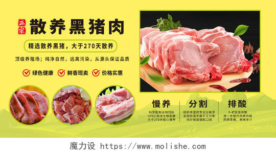 黄色绿色简约大气水墨猪肉黑猪肉美食展板宣传黑猪展板